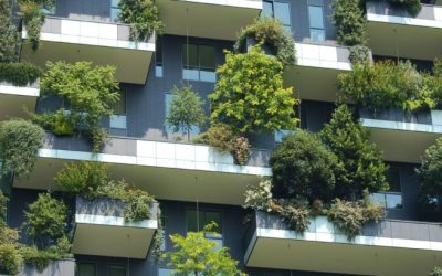 Tendências em 2020: Acessibilidade e Sustentabilidade para os estabelecimentos